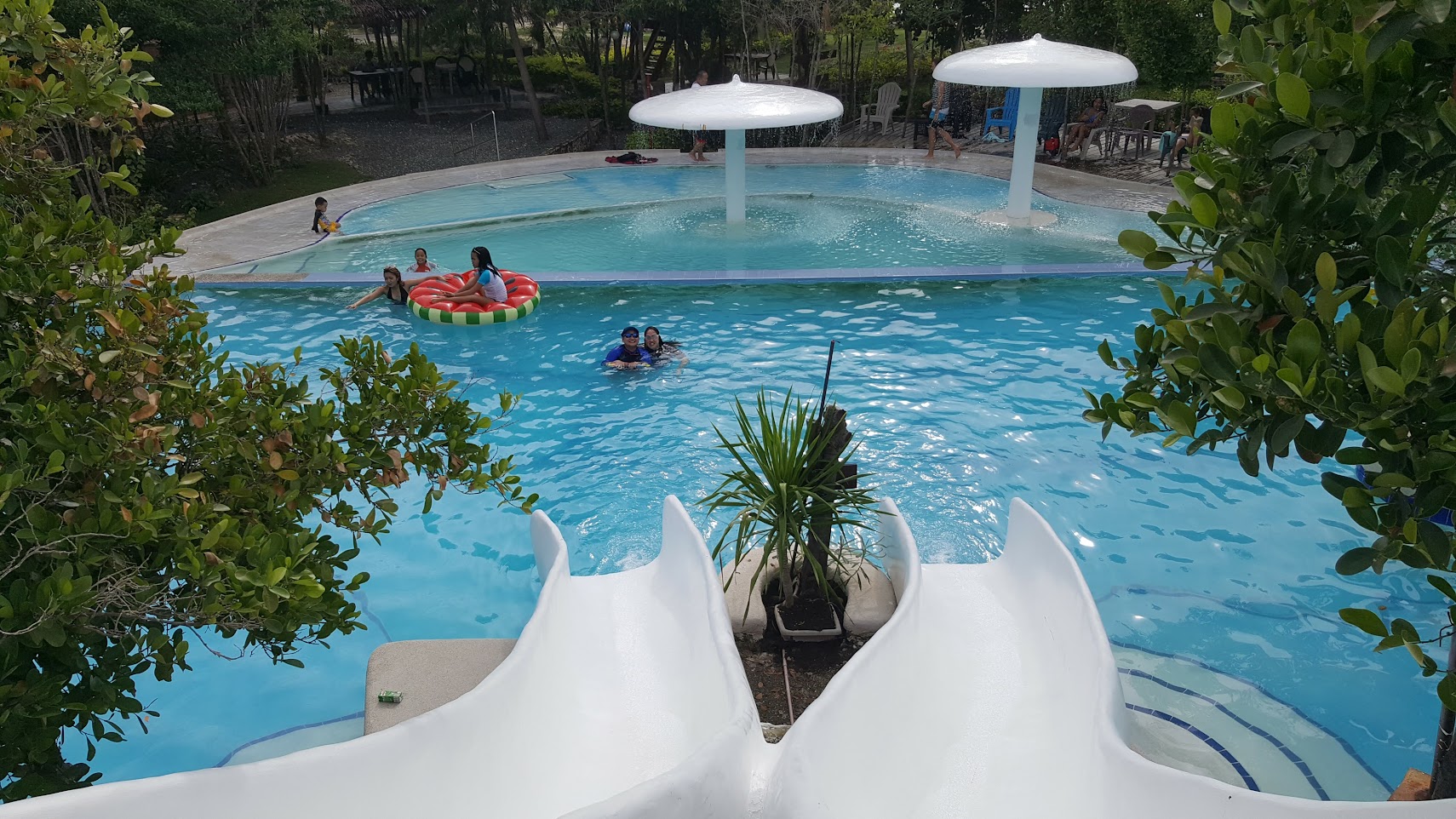 Kiddie pool with mushroom shade structures