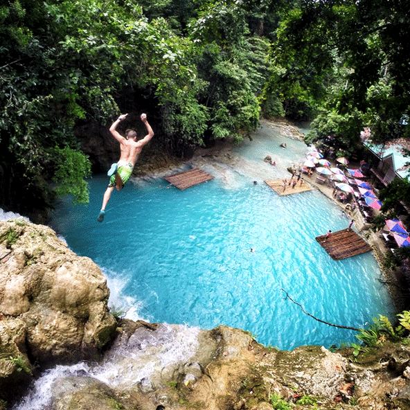 Sardine run in Moalboal