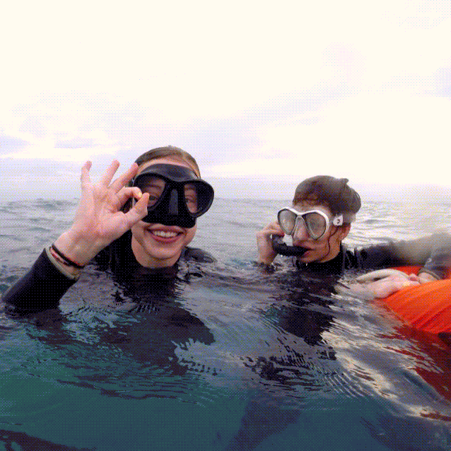 Sea turtle encounter while diving in Moalboal