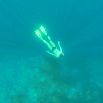 Nomadmanager Instagram review