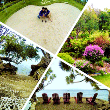 Veanovenario Instagram review